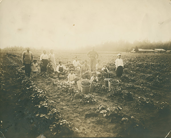 The Hagara family poses with their strawberry fields in the 1930s.