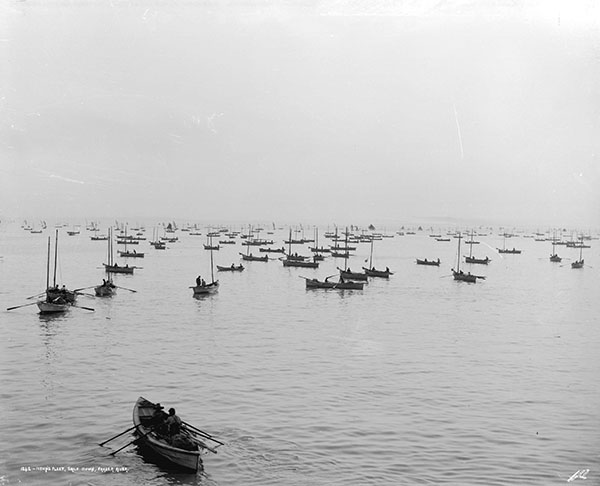 A fleet of fishing boats, powered by oars and sails, fish on the Fraser River.