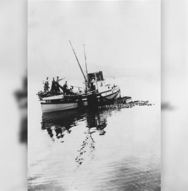 This photograph shows five fishermen working on one boat, with a net spreading in the water.